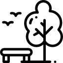 עץ