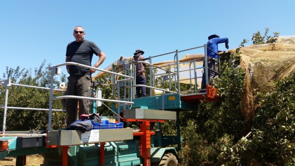 חזון המועצה
