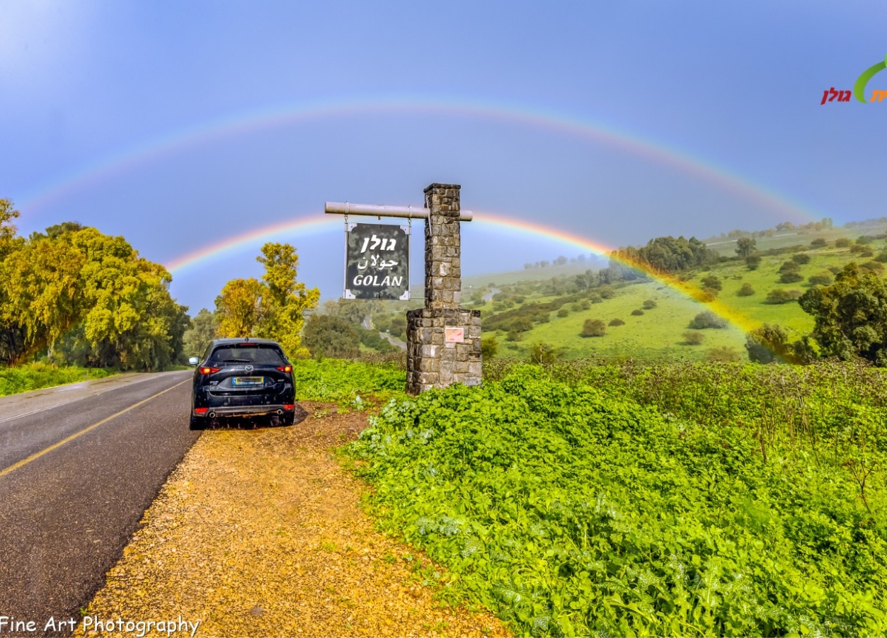 תמונה דשא ורכב
