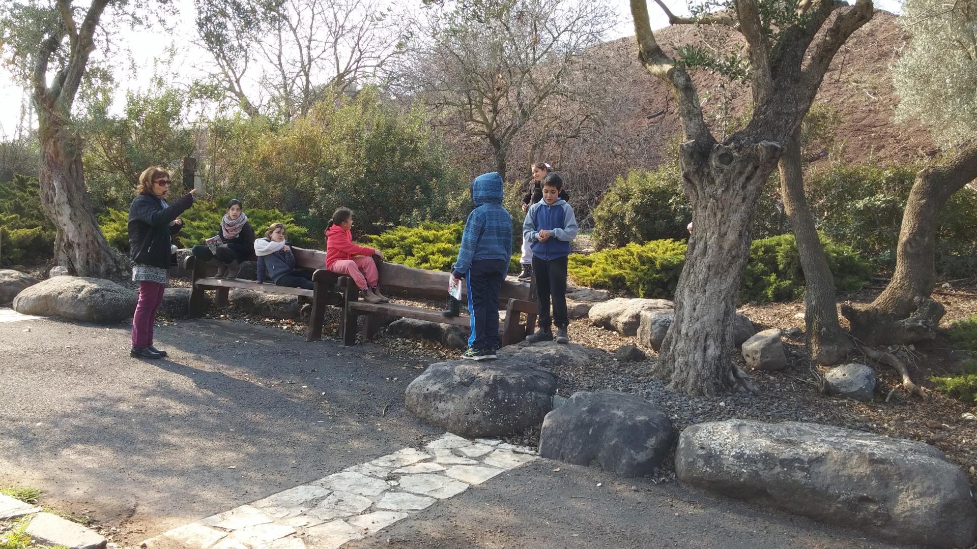 תכנית - מערך טיפולי נייד