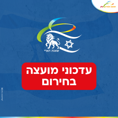 מבצע שאגת הארי - מודול חירום