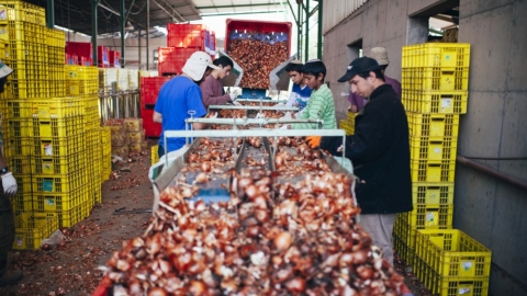 אבני איתן 3.jpg