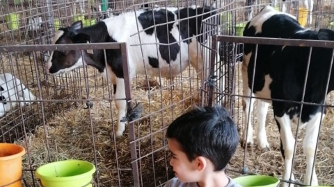 רמת מגשימים (2).jpg