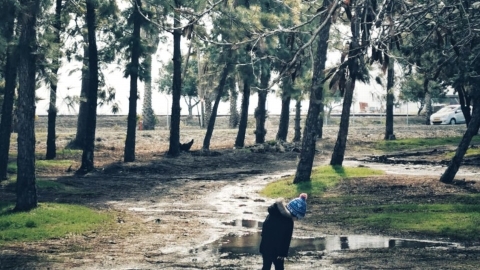 מבוא חמה (1).jpeg