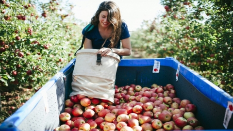 עין זיוון (3).jpg