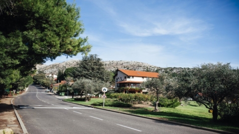 נווה אטי-ב (1).jpg