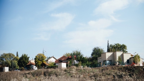 קדמת צבי (1).jpg