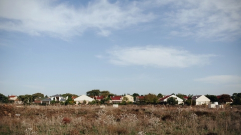 קדמת צבי (2).jpg