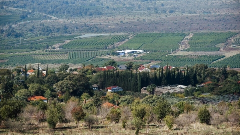 מעלה גמלא (5).jpg