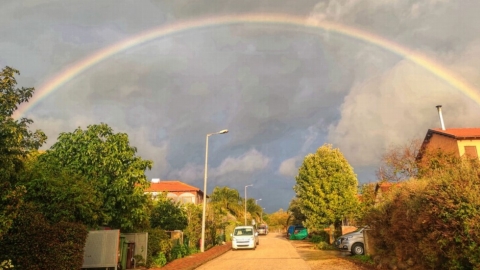 נאות גולן (1).jpeg