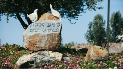 קלע אלון (6).jpg