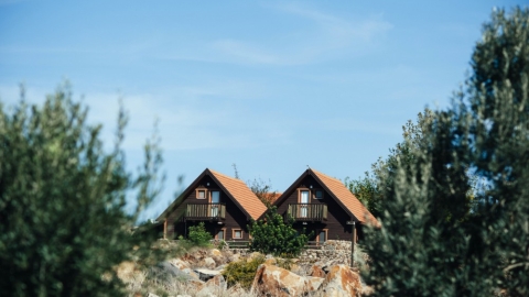 קלע אלון (1).jpg