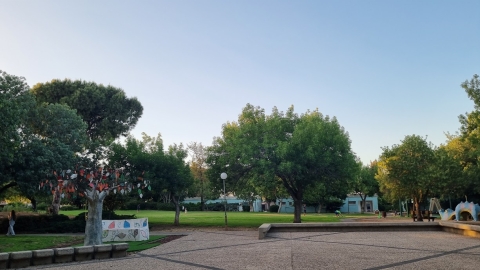 מרכז הקיבוץ עץ המשפחות.jpg