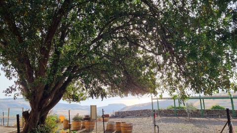 מבט ממצוק אפיק  פקל אייל.jpg