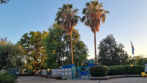 20250629_193228רחבת חדר האוכל.jpg