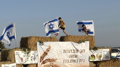 נאות גולן (10).jpg