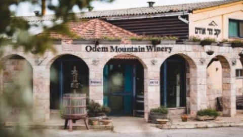 מושב אודם (2).jpg