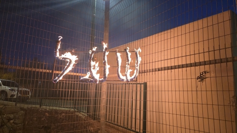 תמונות מושב שעל לאתר מועצה .jpeg